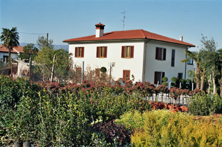 Gori Stefano, Nurceries and Ornamental Plants